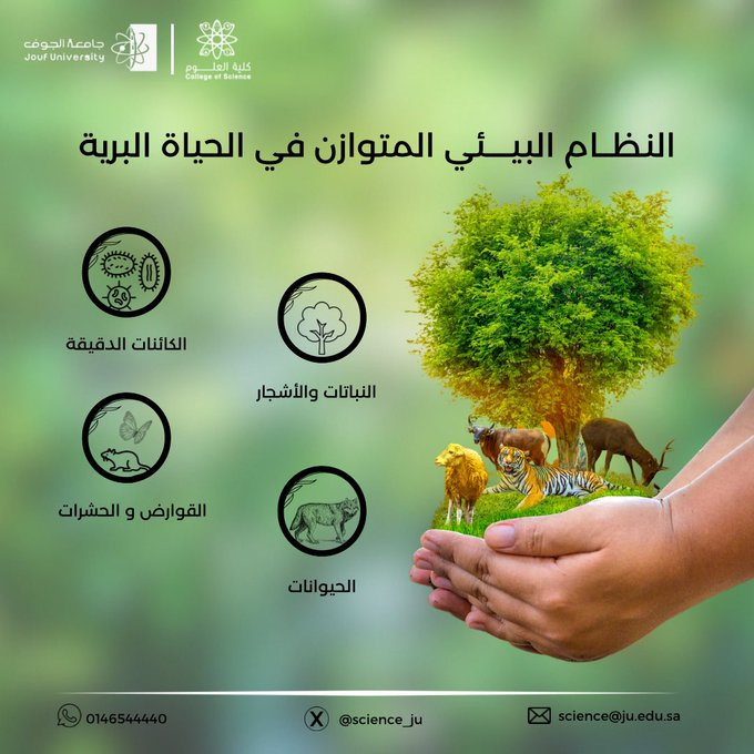 The College of Science at jouf University, represented by the Department of Biology, celebrates World Wildlife Day
