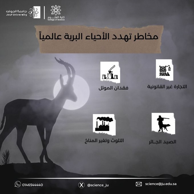 The College of Science at jouf University, represented by the Department of Biology, celebrates World Wildlife Day