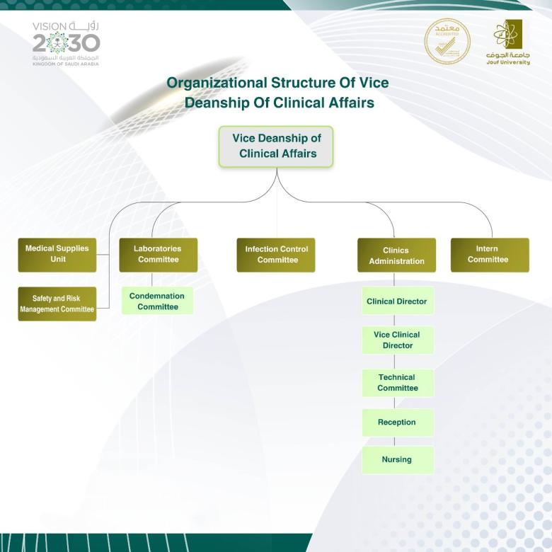 Organizational Structure of the College’s Agency for Clinical Affairs