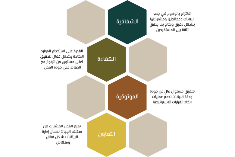 Data Management Office Values