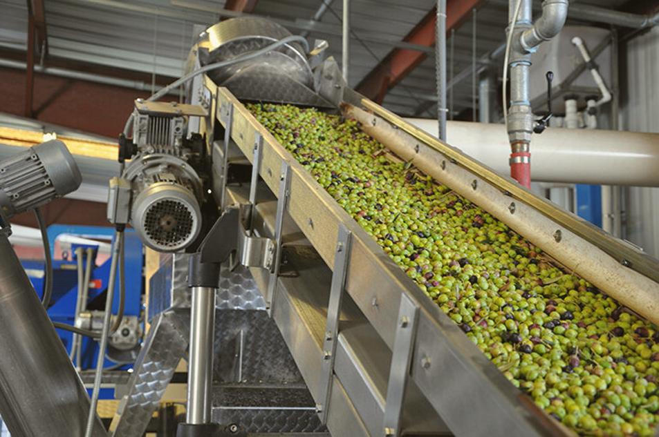 Olive Research Center Olive Research Center