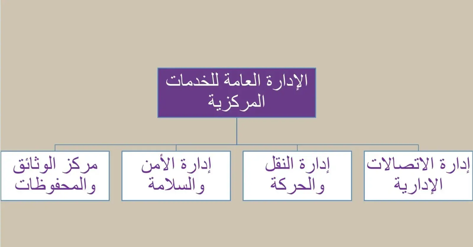 Organizational structure of the General Directorate of Central Services