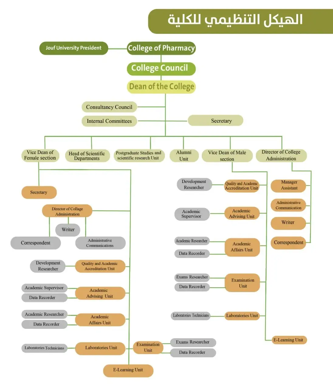 Organizational structure diagram for the College of Pharmacy